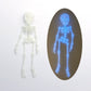 🎃Halloween Hot Sale 💀✨3D Printed Vintage Skeleton Magnetic Figurine 🎃