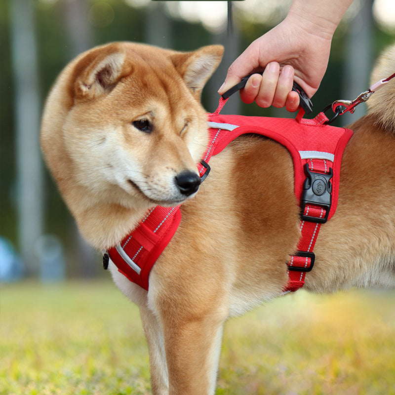 🔥49% OFF🐕Reflective No-Pull Adjustable Dog Vest Harness-2