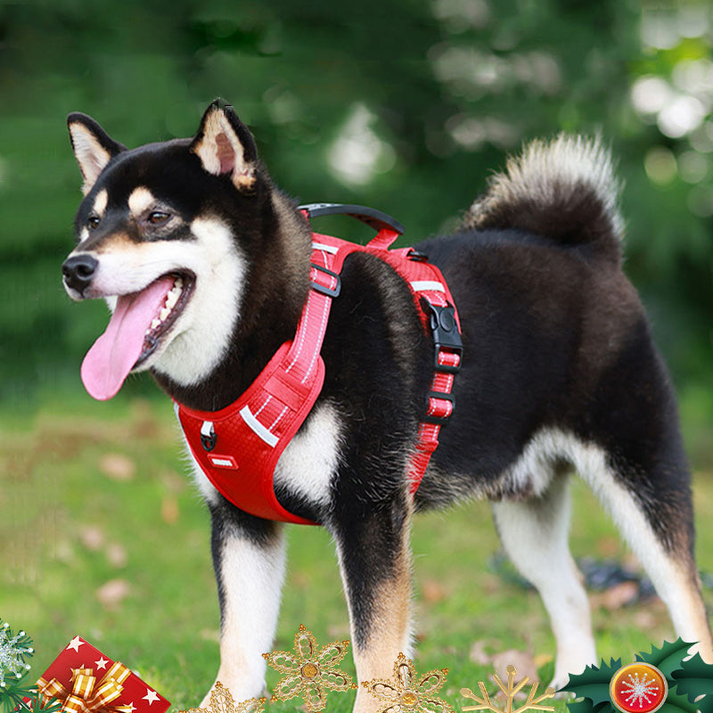 🔥49% OFF🐕Reflective No-Pull Adjustable Dog Vest Harness-7