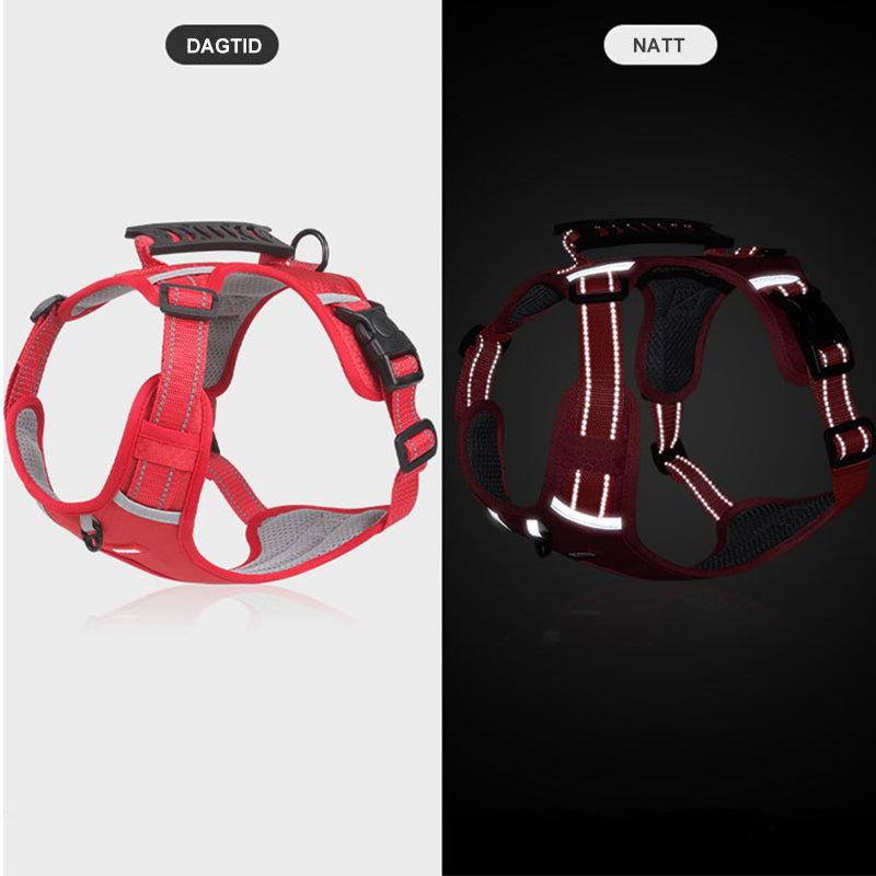 🔥49% OFF🐕Reflective No-Pull Adjustable Dog Vest Harness-8