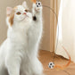 Interactive Cat Bouncy Ball with Feather