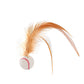 Interactive Cat Bouncy Ball with Feather